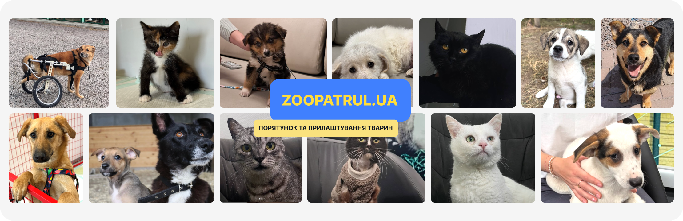 Дім для тих, хто не може просити